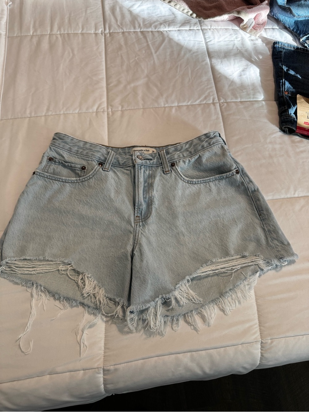 Abercrombie & Fitch The Baggy Low Rise Shorts, Size 28/6R Curve Love